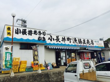 小長井町の牡蠣の話